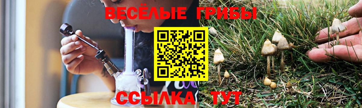 Артём  Псилоцибиновые грибы Psilocybe  купить  сайты  Галлюциногенные грибы мухоморы  Вход с VPN 