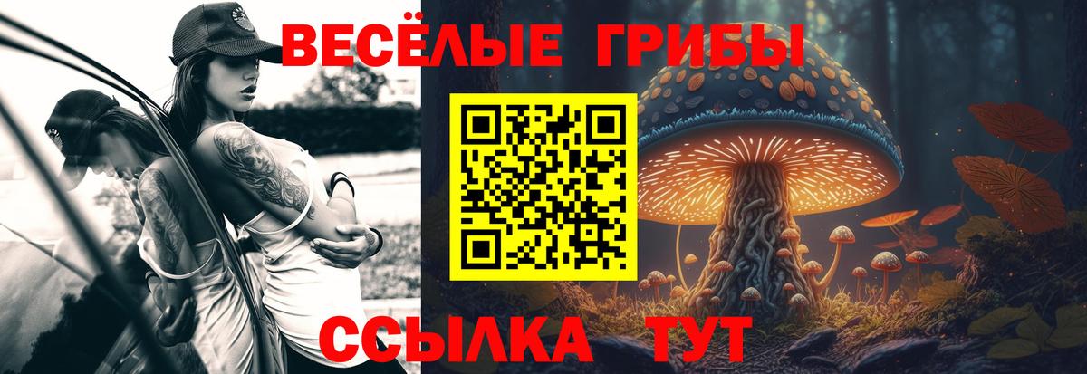 Галлюциногенные грибы прущие грибы Артём