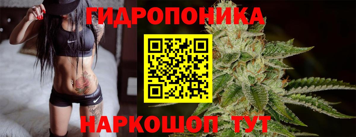 Бошки марихуана гибрид Артём